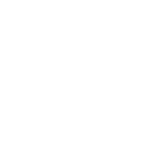 information services